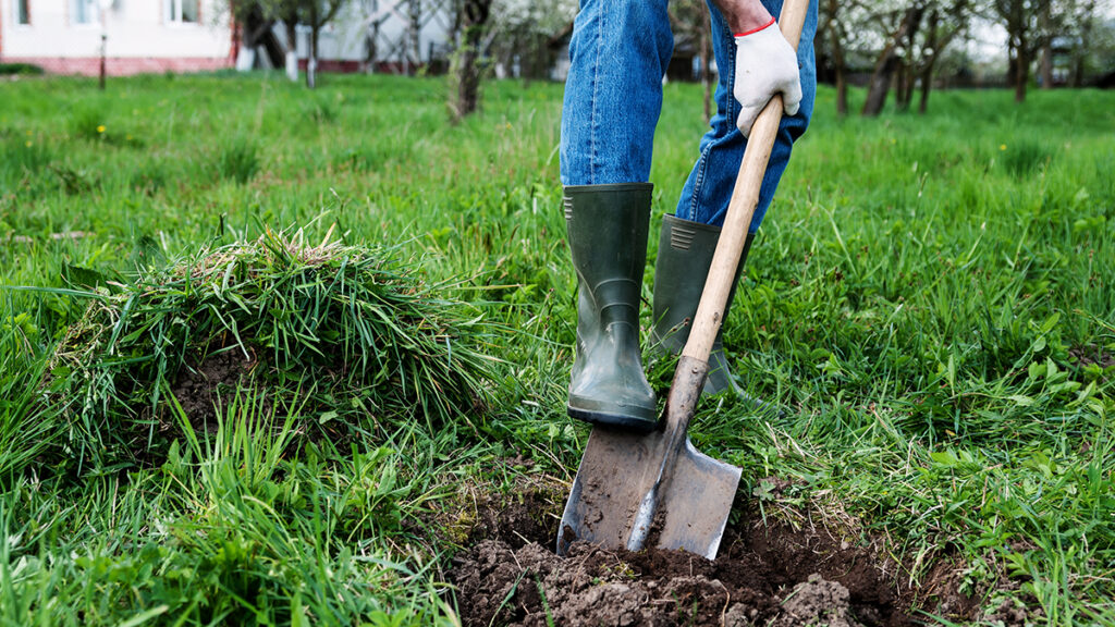person digging a whole in the ground with a shovel